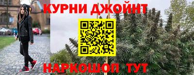 apvp Краснодар