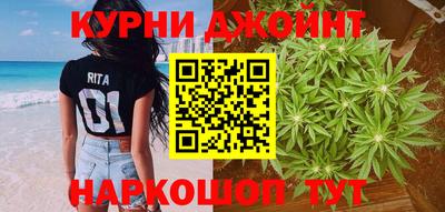 apvp Краснодар