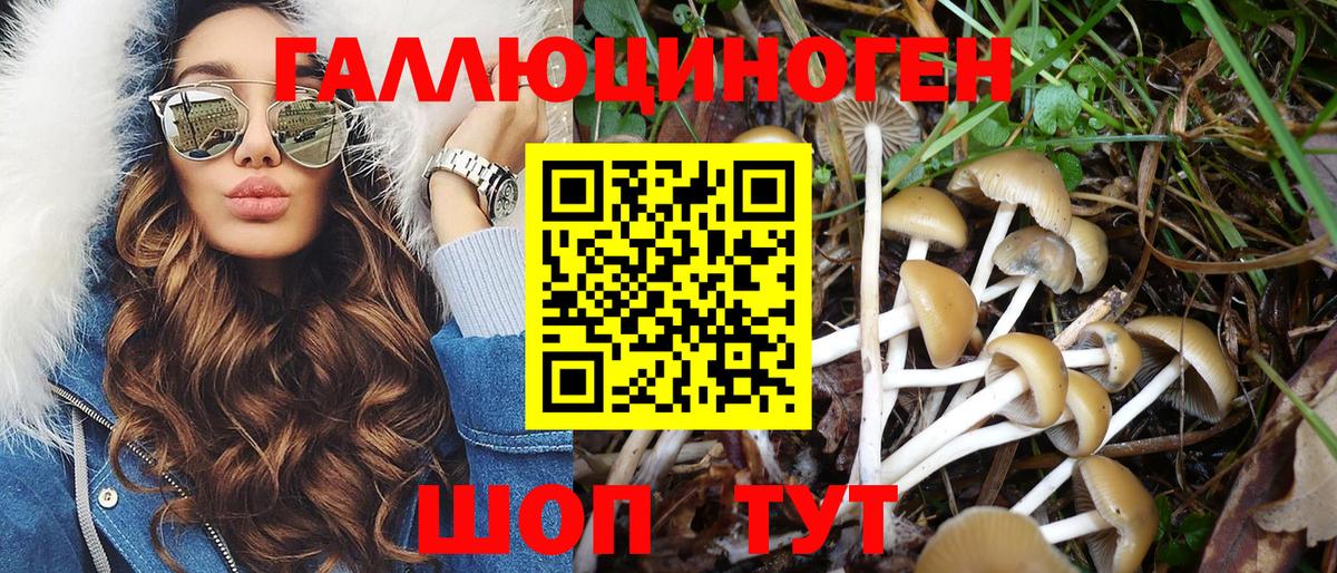 Псилоцибиновые грибы GOLDEN TEACHER  Вход с VPN  Гатчина  Галлюциногенные грибы GOLDEN TEACHER 